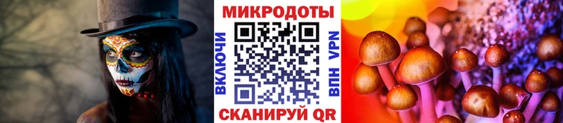 Псилоцибиновые грибы Magic Shrooms  дарк нет наркотические препараты  Минусинск  мега как войти 