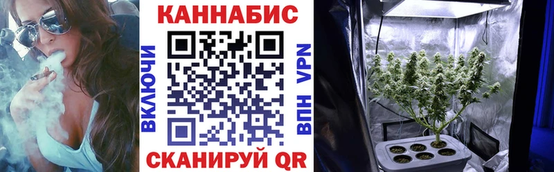 Конопля Bruce Banner  сколько стоит  Минусинск 